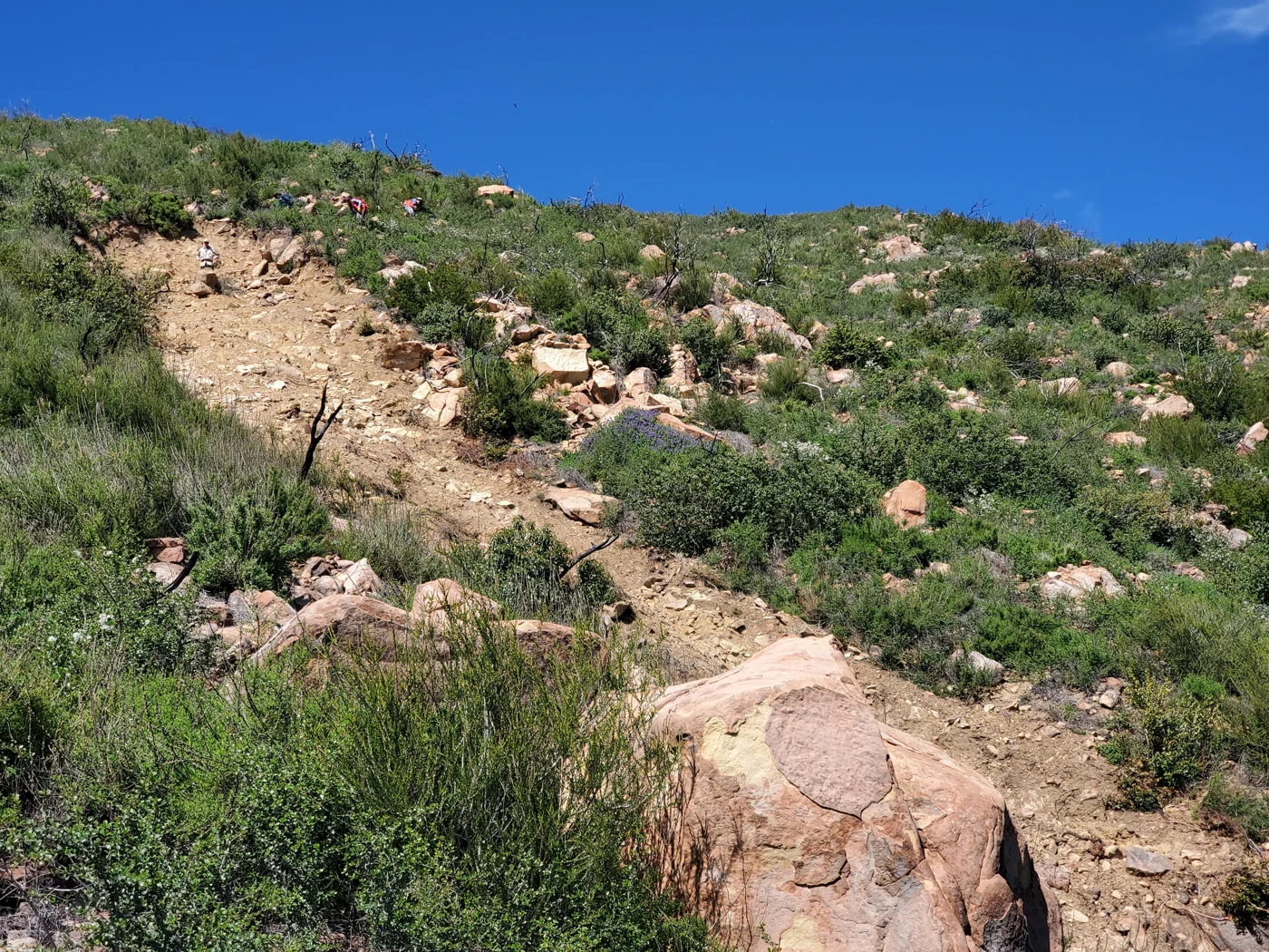 Пример оползневого процесса, Калифорния. USGS / Matthew A. Thomas.
